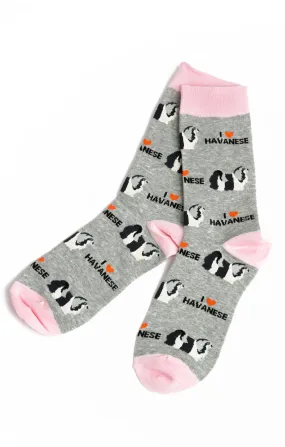 Havanese Socks