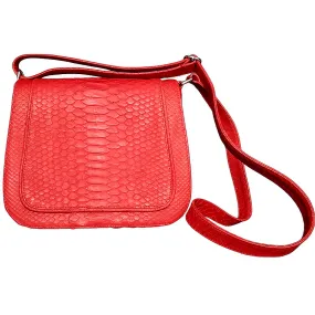 Red Saddle Bag